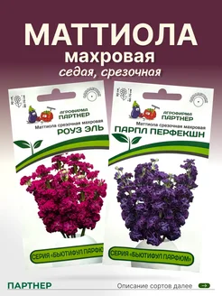 Маттиола махровая срезочная Партнер 305679897 купить за 375 ₽ в интернет-магазине Wildberries