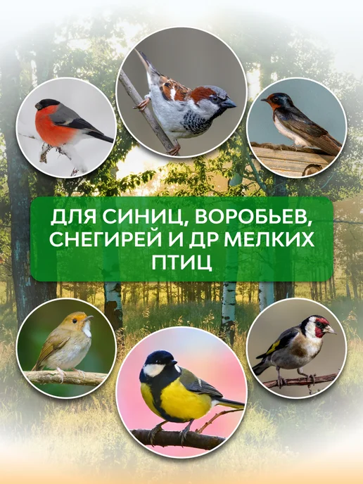 Drevo.studio Скворечник для птиц набор для сборки из дерева, вариант, фото 8