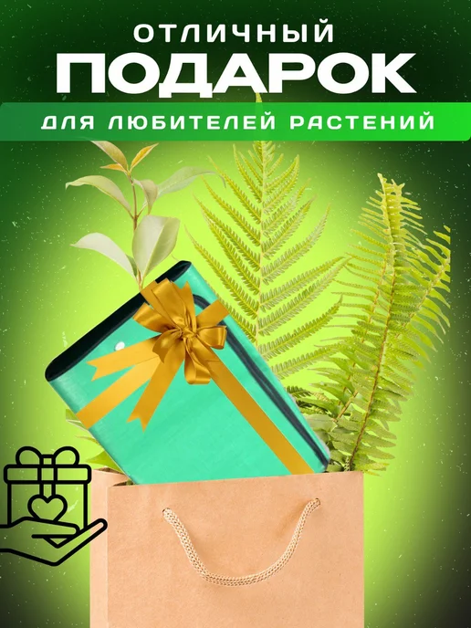 Magday Коврик для пересадки цветов и рассады, зеленый, фото 6