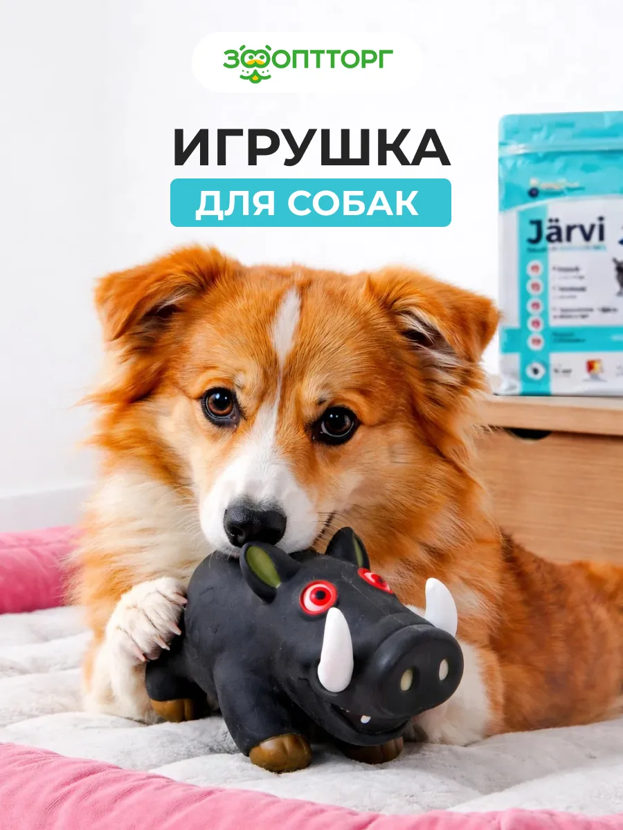 Игрушка из латекса для собак средних и крупных пород 17 см