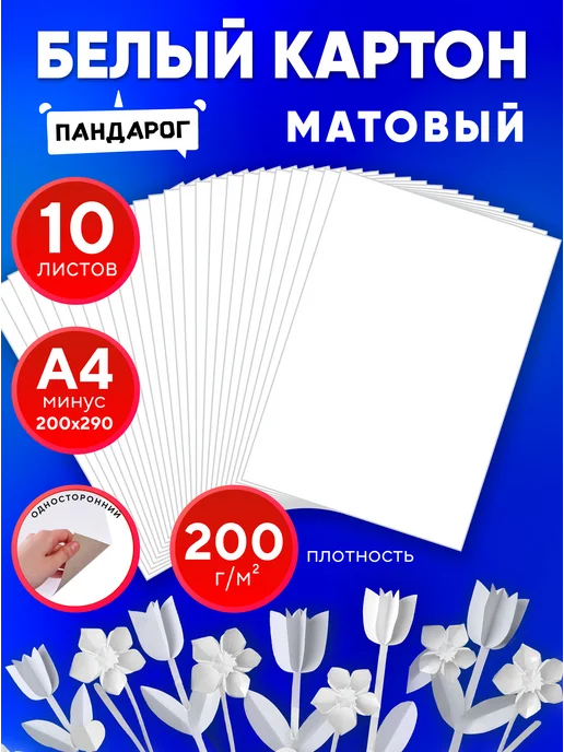 ПандаРог Белый картон для школы А4 матовый, 10 листов, белый
