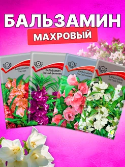 Семена цветов бальзамин Агрохолдинг ПОИСК 306210754 купить за 239 ₽ в интернет-магазине Wildberries