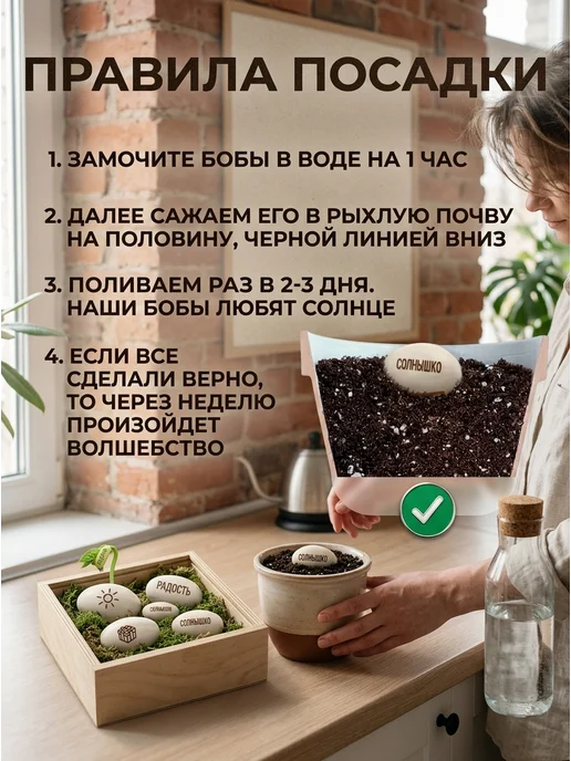Растущий подарок бобы для активного роста, вариант, фото 2