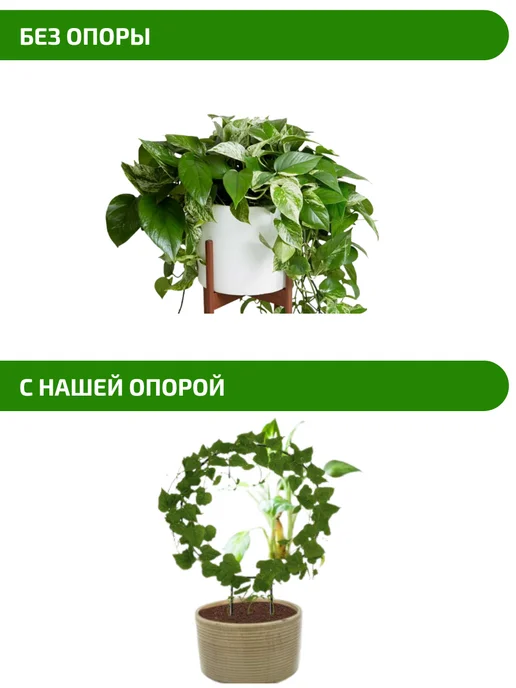 MPSELECT Опора для растений, вариант, фото 3