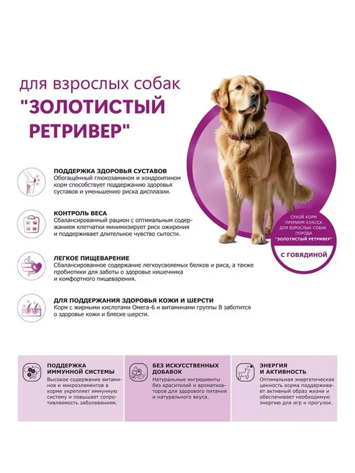 Сухой корм QUATTRO Золотистый Ретривер для собак, говядина, 2,5 кг, фото 2