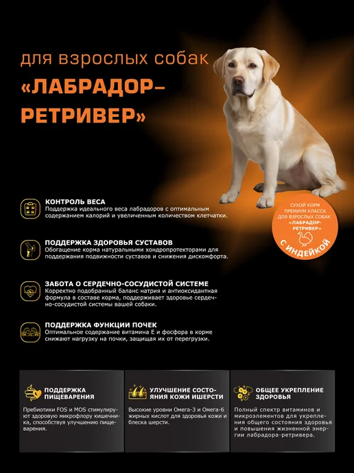 Сухой корм QUATTRO Лабрадор-Ретривер для собак, индейка, 12 кг, фото 2