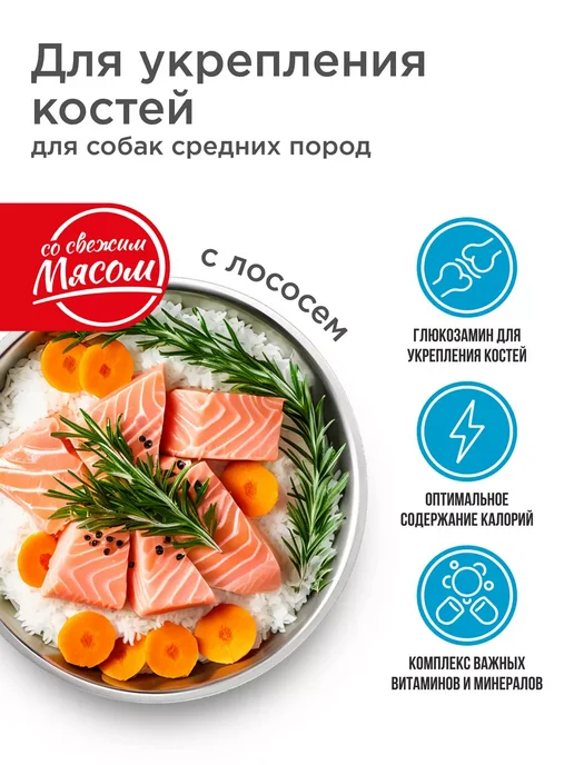 Сухой корм QUATTRO Укрепляет Кости для собак, средние, лосось, 2,5 кг, фото 2