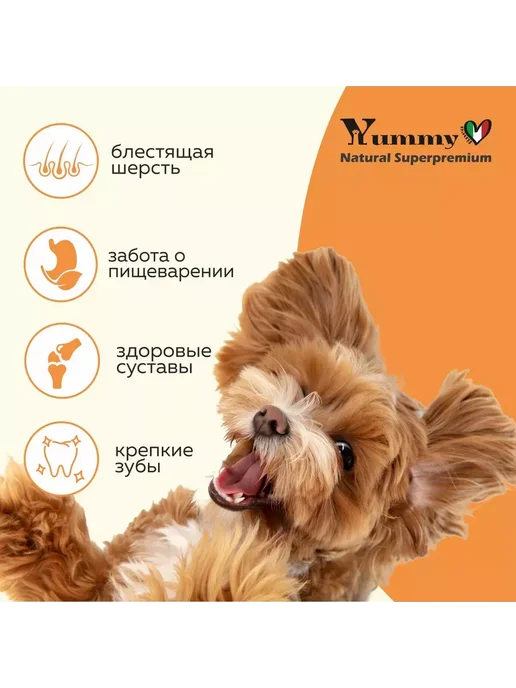 Сухой корм Yummy Linea Малых для собак, взрослые, индейка, 2,5 кг, фото 3