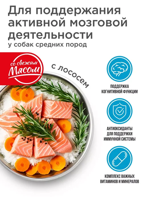 Сухой корм QUATTRO Памяти для собак, средние, индейка, 12 кг, фото 2