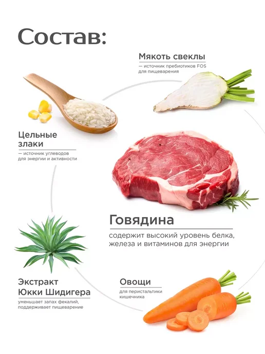 Сухой корм QUATTRO Бассет-Хаунд для собак, говядина, 2,5 кг, фото 3