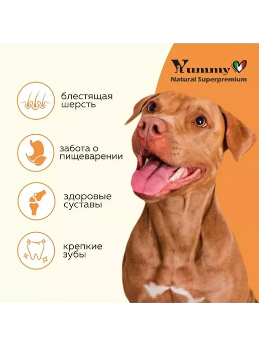 Сухой корм Yummy Linea для собак, крупные, средние, индейка, 2,5 кг, фото 4