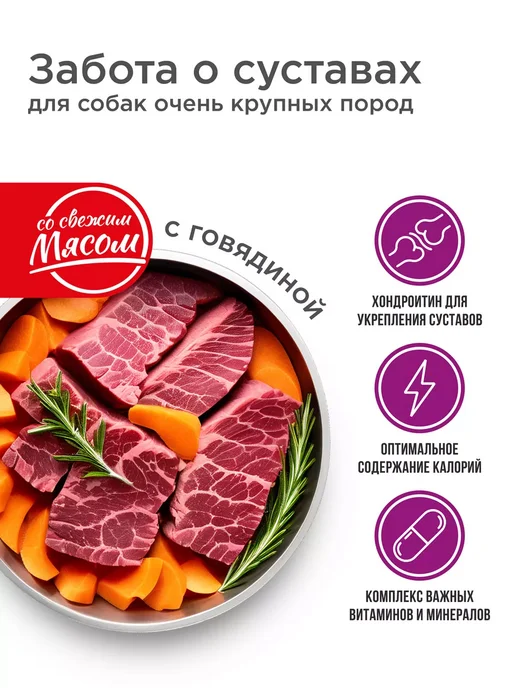 Сухой корм QUATTRO Очень Суставов для собак, крупные, говядина, 2,5 кг, фото 2