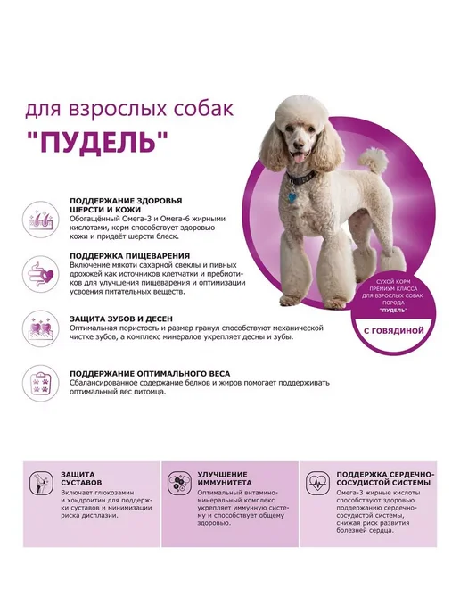 Сухой корм QUATTRO Пудель для собак, говядина, 2,5 кг, фото 2