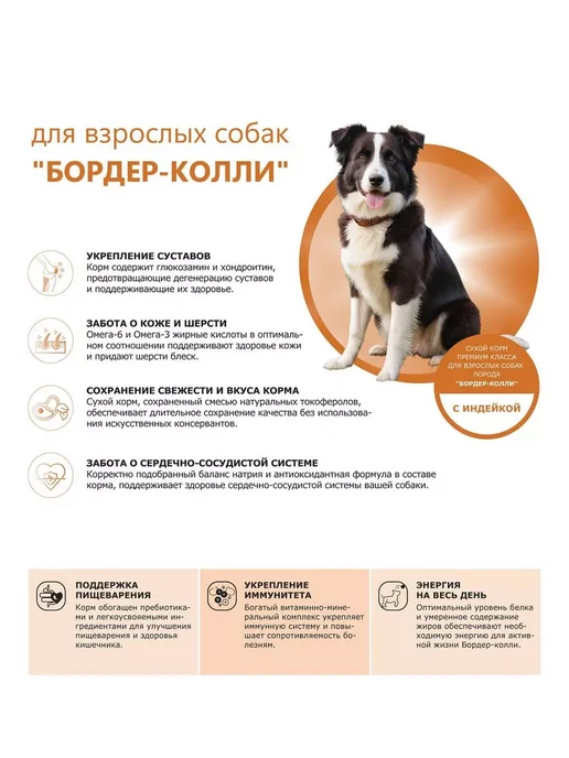 Сухой корм QUATTRO Бордер-Колли для собак, индейка, 12 кг, фото 2