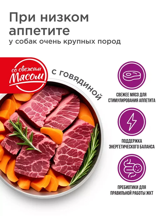 Сухой корм QUATTRO Аппетита для собак, крупные, говядина, 2,5 кг, фото 2