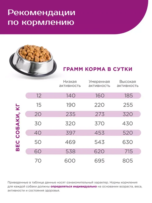 Сухой корм QUATTRO Аппетита для собак, крупные, говядина, 2,5 кг, фото 4