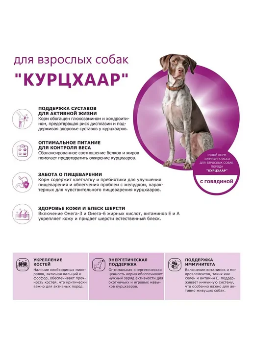 Сухой корм QUATTRO Курцхаар для собак, говядина, 2,5 кг, фото 2