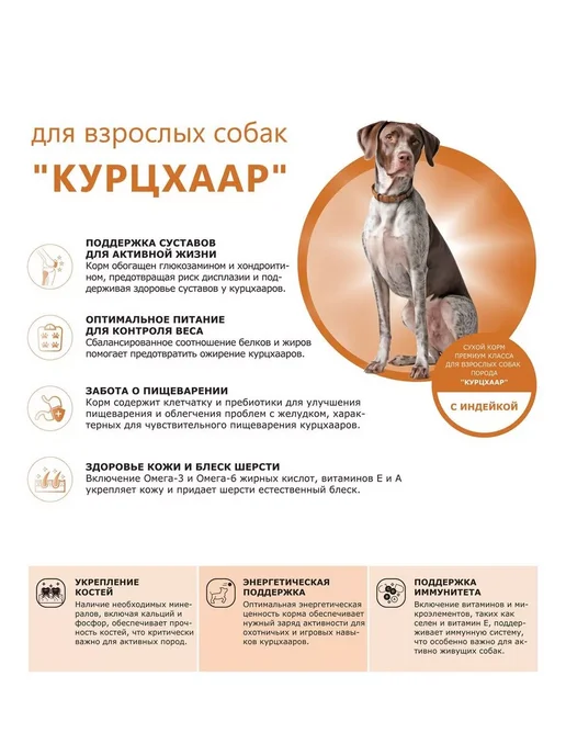 Сухой корм QUATTRO Курцхаар для собак, индейка, 12 кг, фото 2