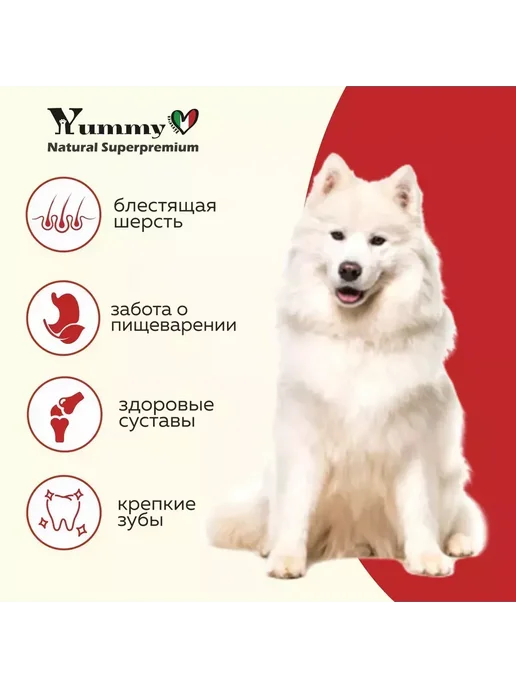 Сухой корм Yummy Linea Малых для собак, мелкие, щенки, ягненок, 8 кг, фото 4