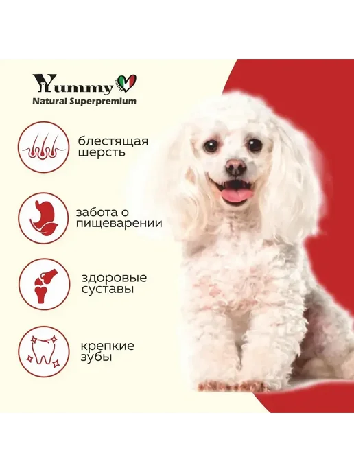 Сухой корм Yummy Linea Малых для собак, мелкие, щенки, ягненок, 2,5 кг, фото 4