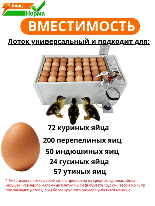 Производитель Блиц Норма Инкубатор для яиц Луппер автоматический с терморегулятором, белый, фото 3