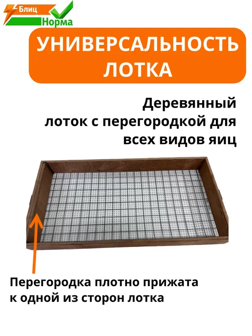 Производитель Блиц Норма Инкубатор для яиц Луппер автоматический с терморегулятором, белый, фото 4
