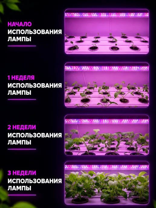 Host Фитолампа для растений и рассады полного спектра 4 шт. 40Вт, 5 шт, 60 Вт, фото 5