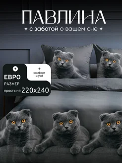 Постельное белье евро макси 220х240 см Павлина 306475684 купить за 1 297 ₽ в интернет-магазине Wildberries