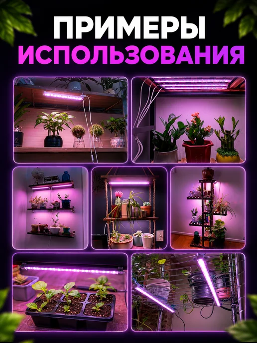 Host Фитолампа для растений и рассады полного спектра 4 шт. 40Вт, 5 шт, 50 Вт, фото 7