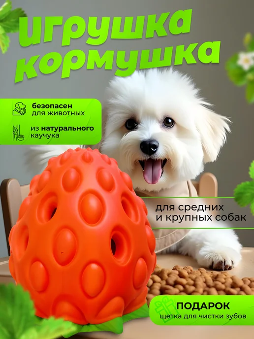 BarryPets Прочная игрушка для собак крупных и средних пород, зеленый