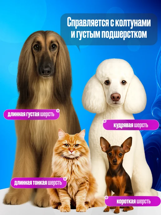 BarryPets Мощная машинка для стрижки собак и кошек профессиональная, синий, фото 2