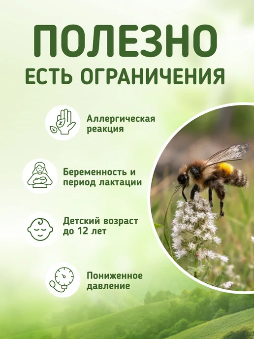 Родные травы Осина кора порошок 400 гр молотая натуральная фитомука, 400 г, фото 2