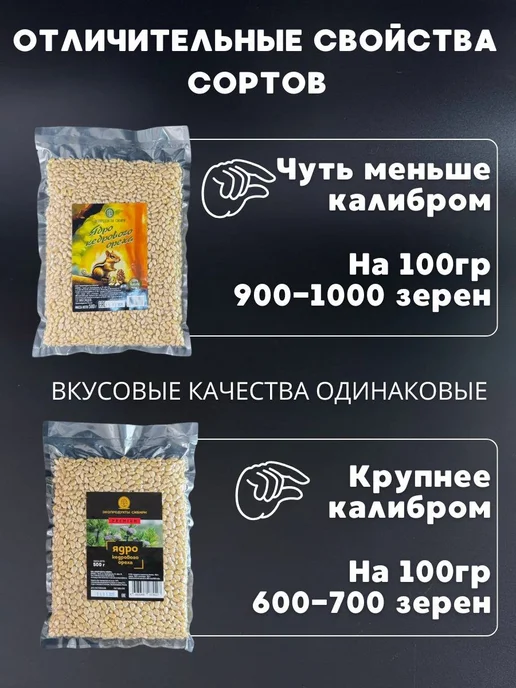ЭКОПРОДУКТЫ СИБИРИ Кедровый орех очищенный PREMIUM 200 гр, 200 г, фото 4