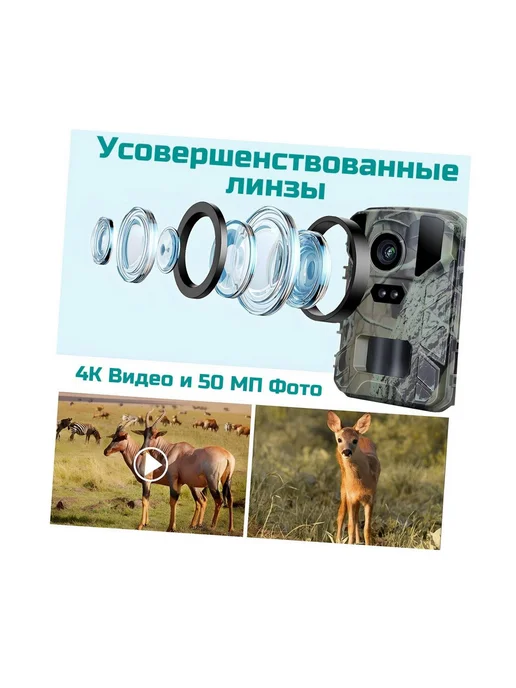 Филин Миниатюрная 4K фотоловушка Filin Мини-800 для наблюдения, вариант, фото 3