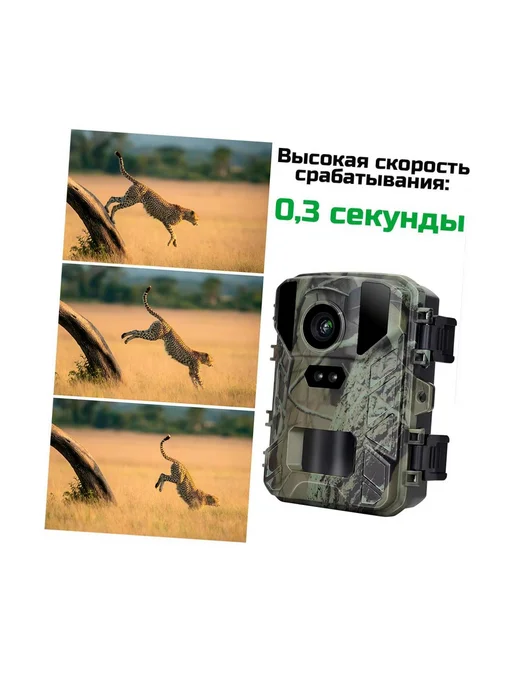 Филин Миниатюрная 4K фотоловушка Filin Мини-800 для наблюдения, вариант, фото 4