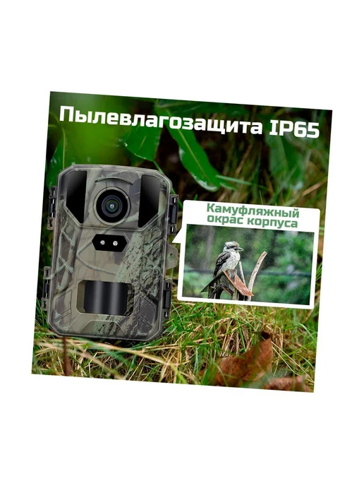 Филин Миниатюрная 4K фотоловушка Filin Мини-800 для наблюдения, вариант, фото 5