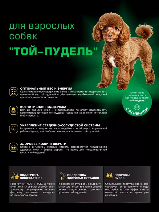 Сухой корм QUATTRO Той Пудель для собак, ягненок, 0,8 кг, фото 2