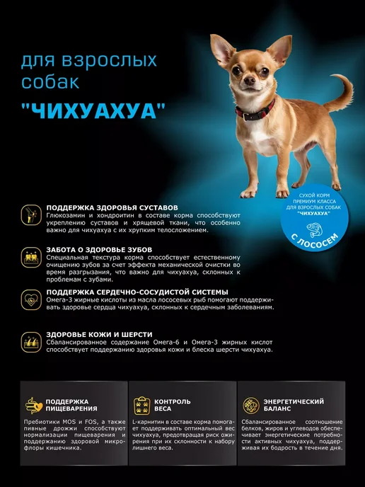 Сухой корм QUATTRO Чихуахуа для собак, лосось, 0,8 кг, фото 2