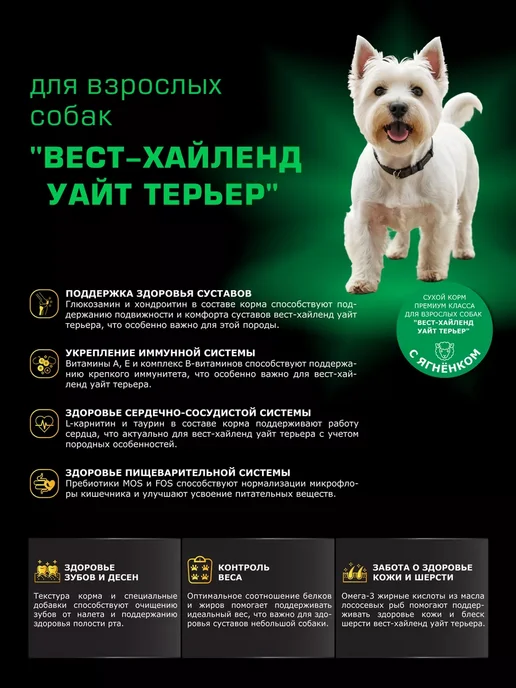 Сухой корм QUATTRO Вест-Хайленд-Уайт-Терьера для собак, ягненок, 0,8 кг, фото 2