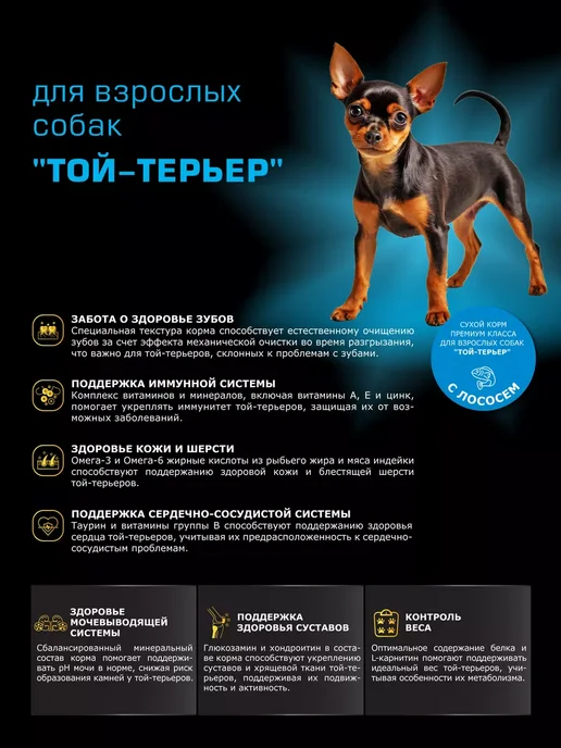 Сухой корм QUATTRO Той-Терьер для собак, лосось, 0,8 кг, фото 2