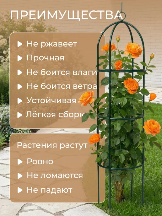 ГеоПластБорд Опора для растений и цветов садовый держатель, зеленый, фото 2