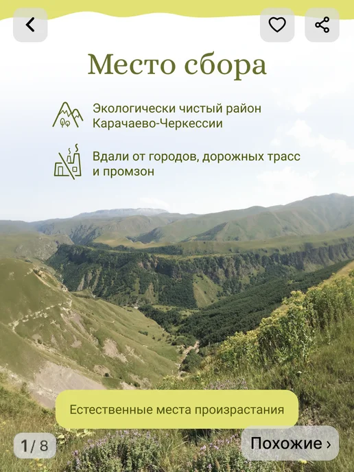 Иван-чайная мастерская ВЫШЕГОРЬЕ Таволга трава отборная, вариант, фото 2