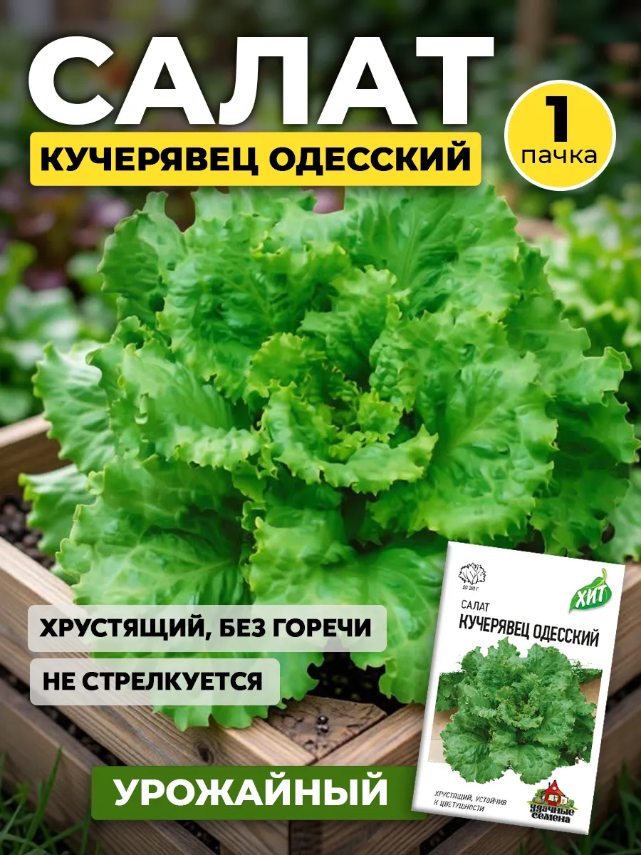 Семена Салат Кучерявец Одесский