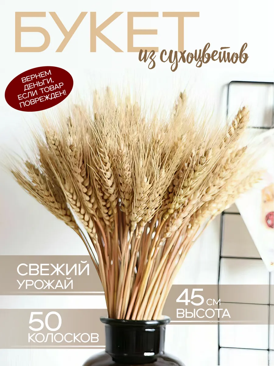 Сухоцветы букет для декора и интерьера пшеница