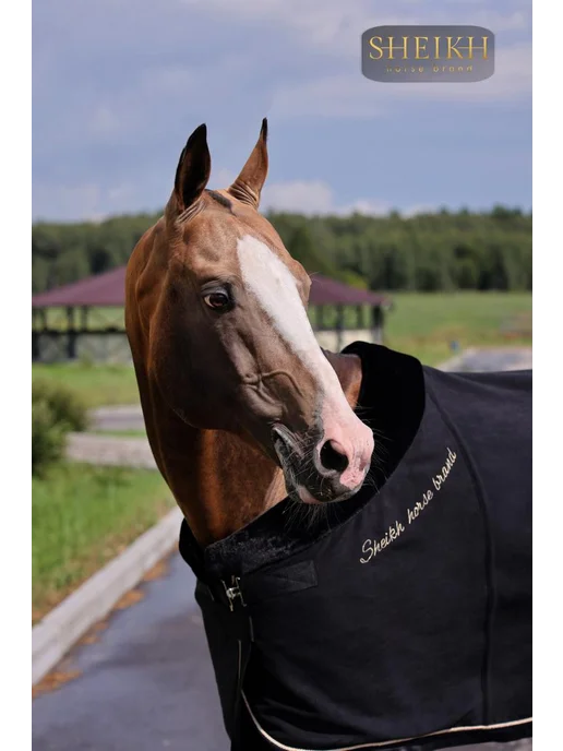 SHEIKH HORSE BRAND Попона флисовая для лошади для верховой езды, конного спорта, черный, фото 4