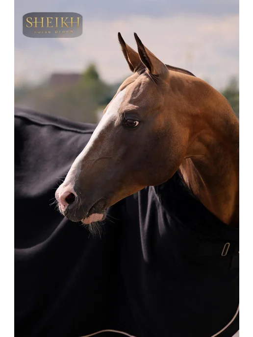 SHEIKH HORSE BRAND Попона флисовая для лошади для верховой езды, конного спорта, черный, фото 5