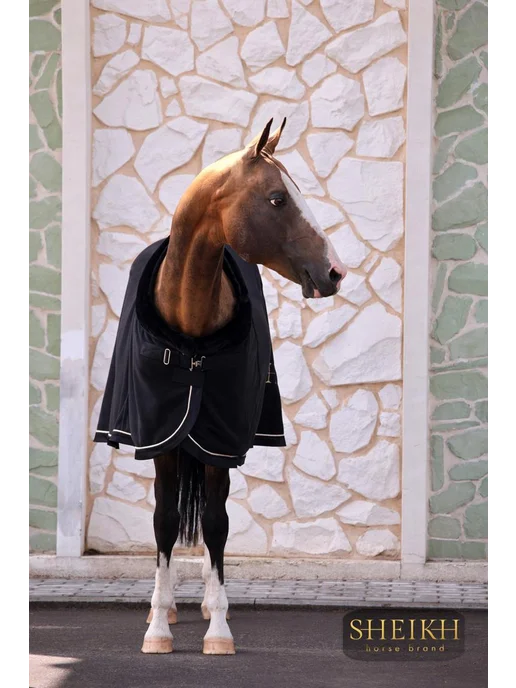 SHEIKH HORSE BRAND Попона флисовая для лошади для верховой езды, конного спорта, черный, фото 6