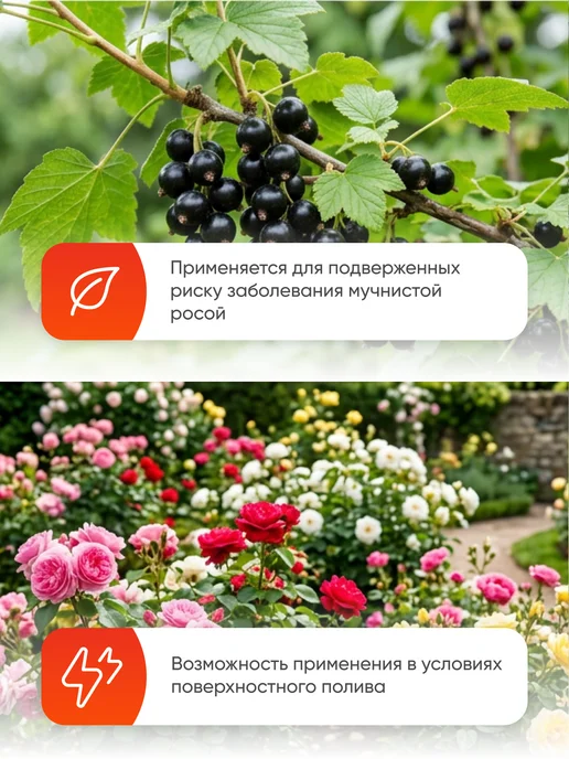 Ваше Хозяйство Серпень от болезней растений 25 мл, 25 мл, фото 2