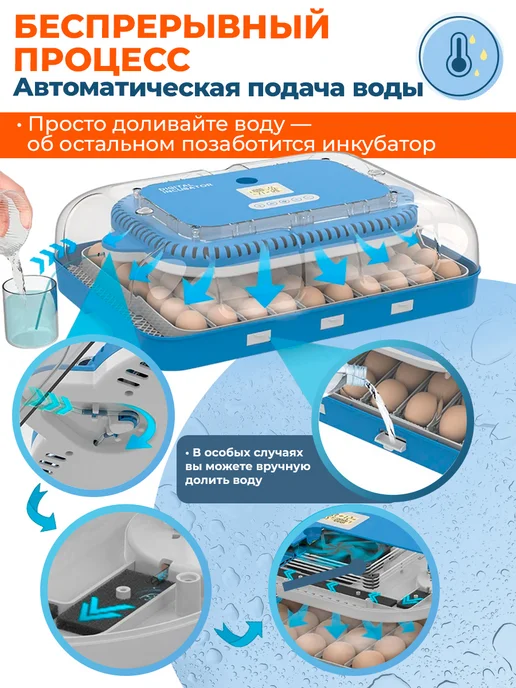HHD Инкубатор для 70 яиц автоматический с терморегулятором, синий, фото 2