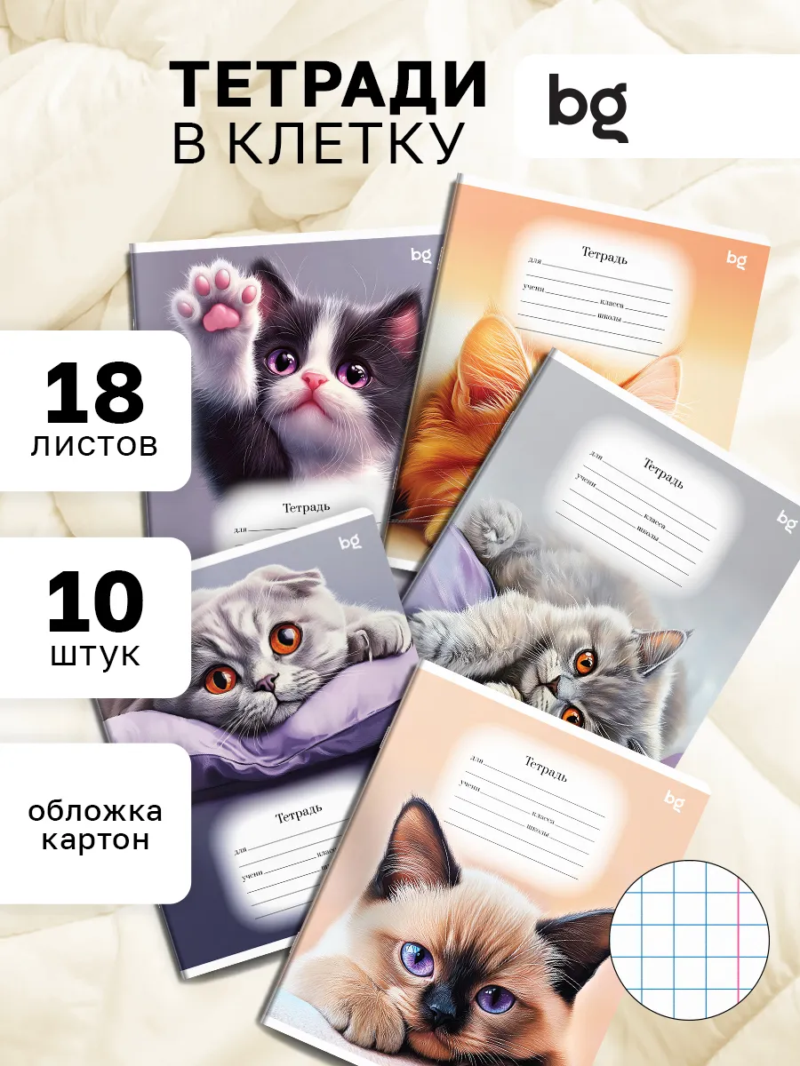 Тетрадь в клетку с рисунком 18 листов 10 штук